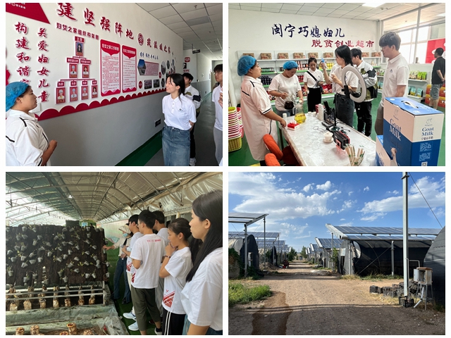 光影魔術手拼圖.jpg